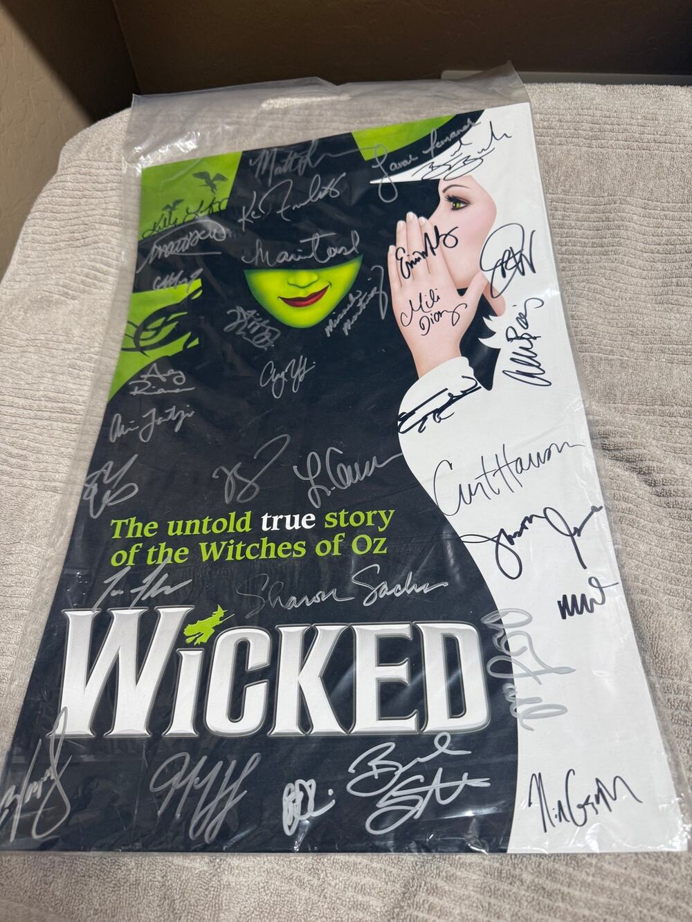 Wicked Tour Poster Cast Signed Window Card Autographed  22"x14"